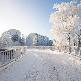 Facilities management - Winter Gritting Service